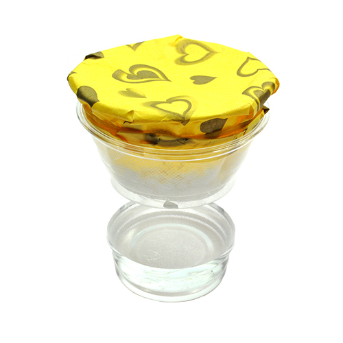 마이사이언스 물 먹는 하마 5명 set