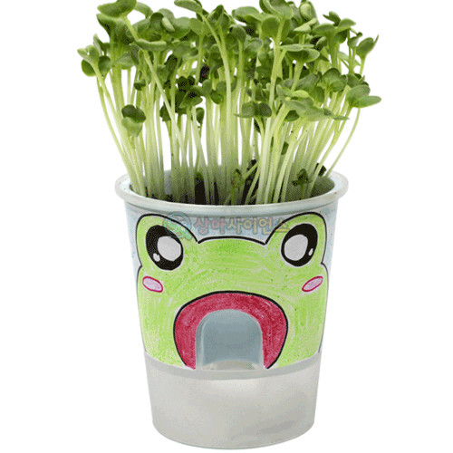 SA 거꾸로 물주기 화분(식물키우기)(규격 선택)